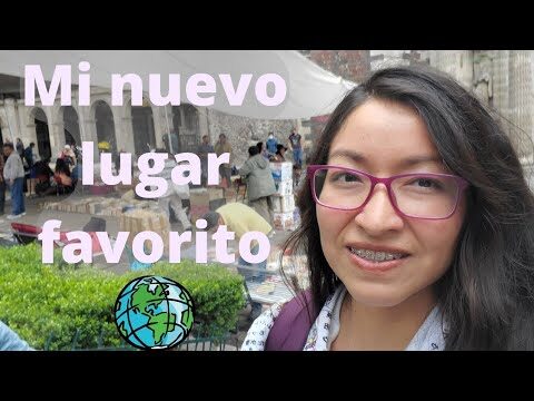 Descubre los Mejores Lugares para Encontrar Libros Antiguos en San Fernando