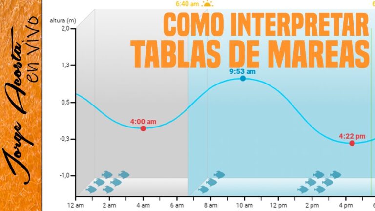 Mejores lugares para aprender a surfear cerca de San Fernando