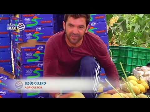 Mercados al Aire Libre en Sanl&uacute;car de Barrameda: Una Gu&iacute;a Completa