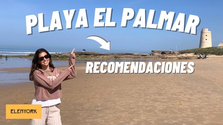 Guía para encontrar información sobre escuelas en Conil de la Frontera