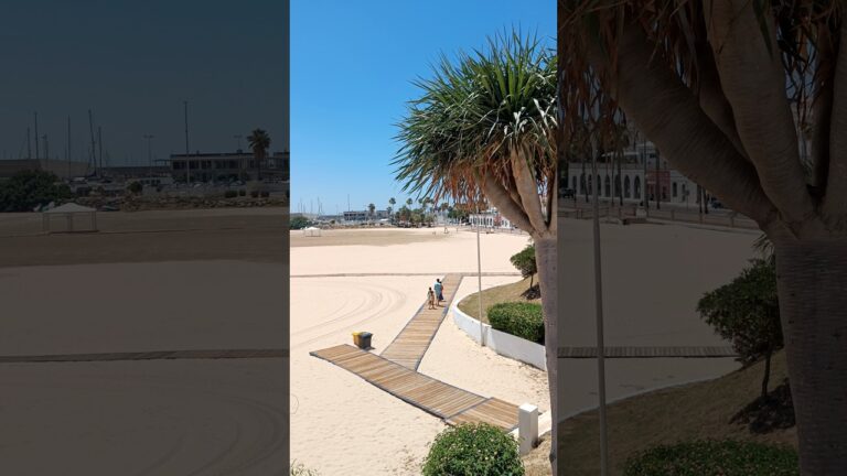 Actividades de Ocio en Rota: Dónde Encontrarlas