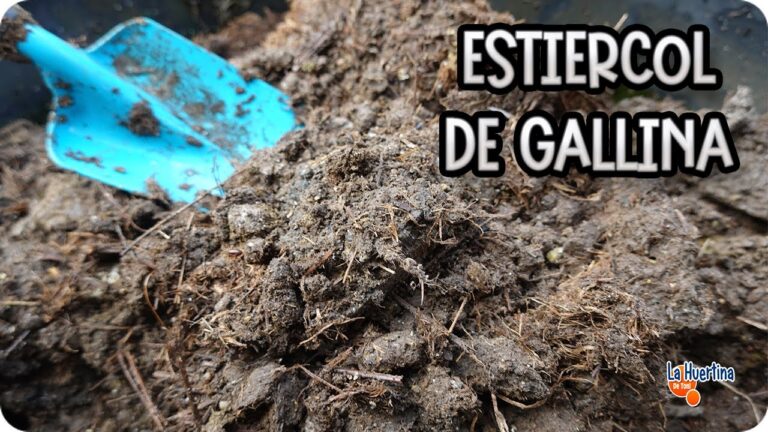 Guía de compra de productos para compostaje en Cádiz