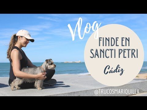 Cafés con Vistas en Conil de la Frontera