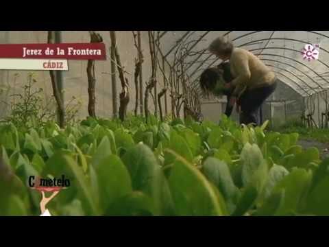 Guía para encontrar tiendas de productos ecológicos en Chiclana de la Frontera