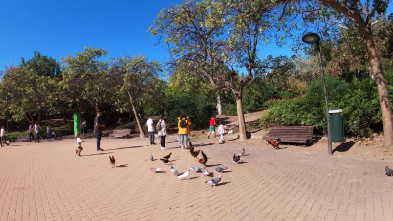Los mejores parques para picnics en C&aacute;diz