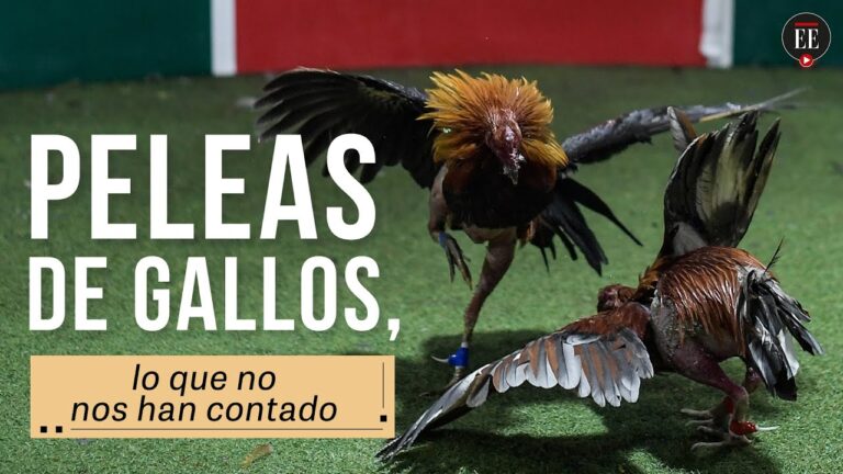 Normativas sobre la Venta de Tabaco en Puerto Real