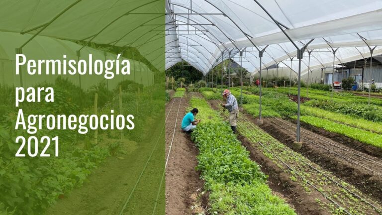 Registro de Negocios en El Puerto de Santa María: Guía Práctica