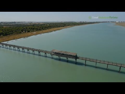 Parques Populares en Puerto Real: Gu&iacute;a Esencial