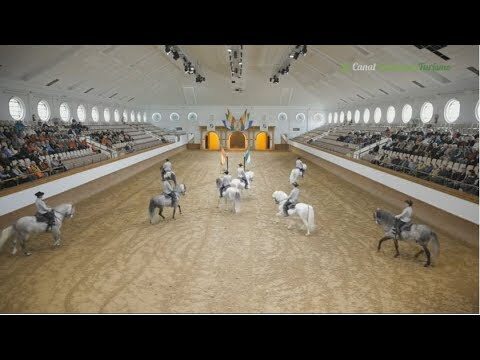Gu&iacute;a para Conseguir Entradas de Espect&aacute;culos en Chiclana de la Frontera