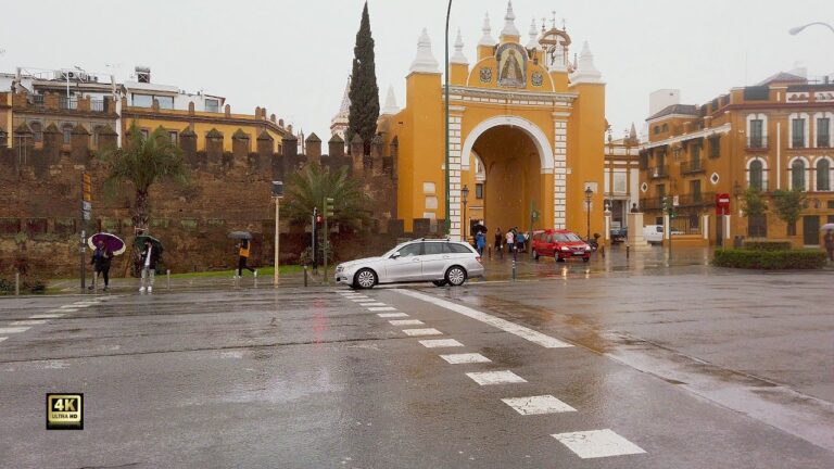 Bares de Moda en Vejer de la Frontera