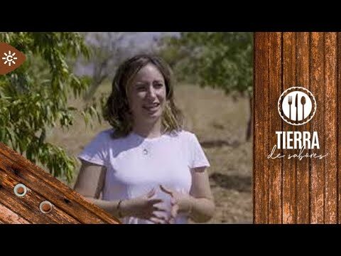Rutas accesibles para personas mayores en Conil de la Frontera