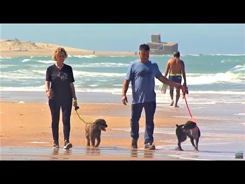 Playas para perros cerca de Sanlúcar de Barrameda