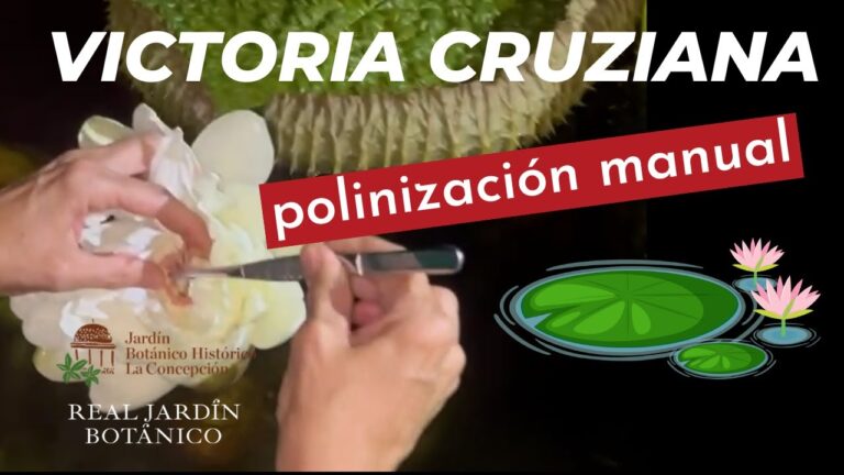 Gu&iacute;a de Jardines Bot&aacute;nicos en Chipiona