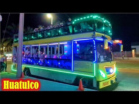 Transporte P&uacute;blico Nocturno en Puerto Real: An&aacute;lisis y Opiniones