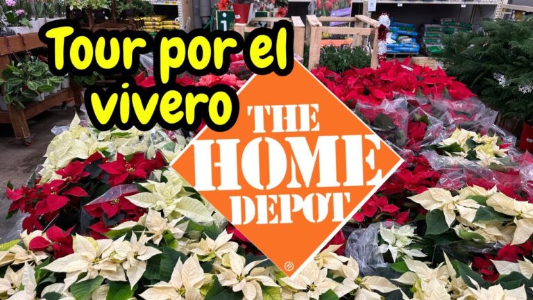 Gu&iacute;a para localizar tiendas de jardiner&iacute;a en San Fernando